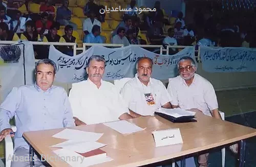 محمود مساعدیان